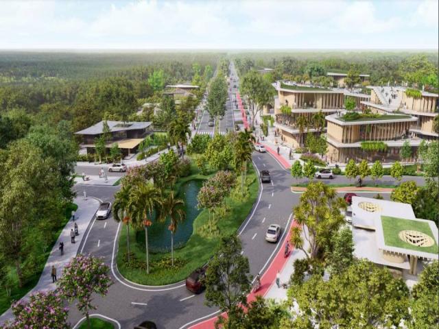 #245 - Área para Venda em Tijucas - SC